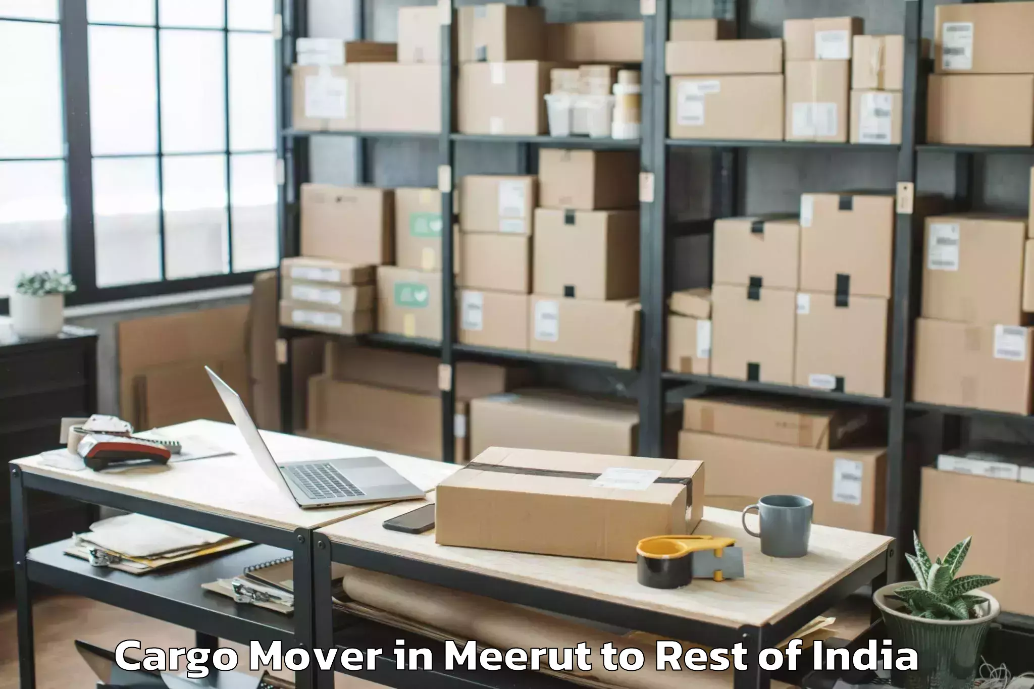 Top Meerut to Rongra Cargo Mover Available